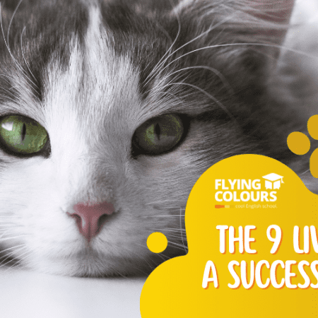 The 9 Lives of a Successful Cat (copii 10-14 ani)